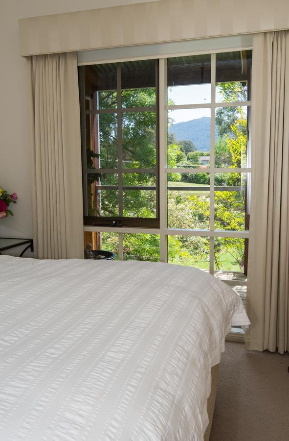 Bed and Breakfast Hollyhock Маседон Номер фото
